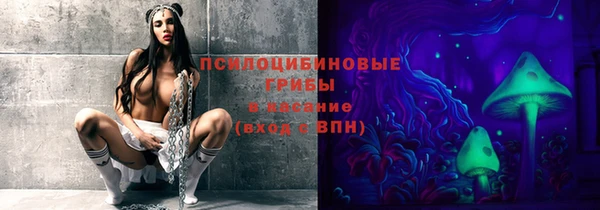 а пвп мука Абаза