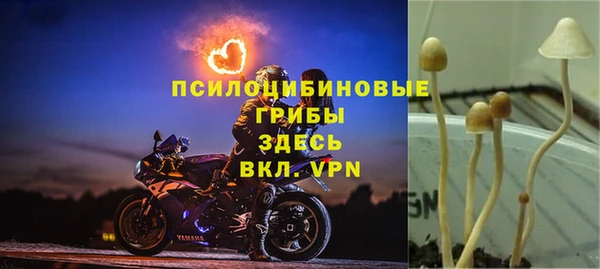 а пвп мука Абаза