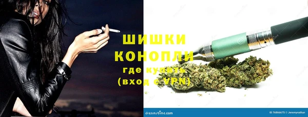 шишки Алексин