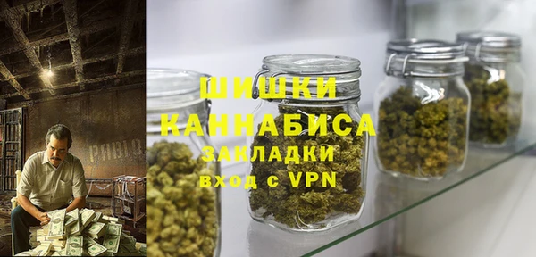 шишки Алексин