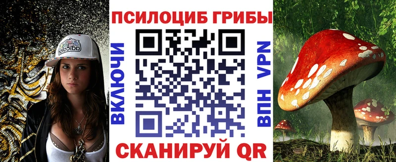 omg ссылки  наркота  Пыталово  Псилоцибиновые грибы Psilocybine cubensis 