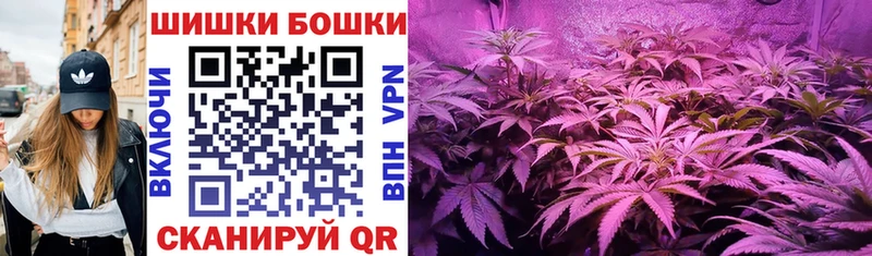 МЕГА вход  купить закладку  Пыталово  Шишки марихуана OG Kush 